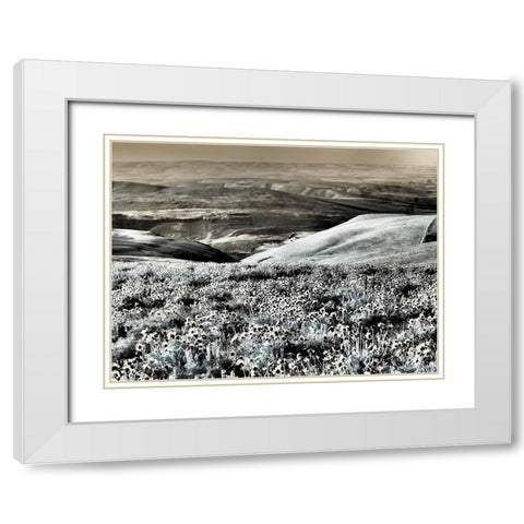 USA-Washington State Infrared capture Spring wildflowers and hills White Modern Wood Framed Art Print with Double Matting by Eggers, Terry