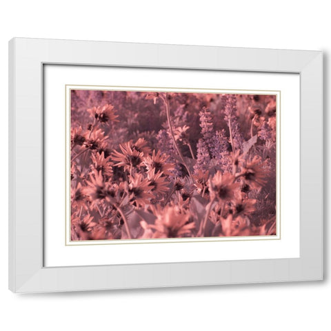 USA-Washington State Infrared capture wildflowers in bloom White Modern Wood Framed Art Print with Double Matting by Eggers, Terry
