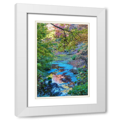 Autumn Colorful Leaves Reflection-Bellevue-Botanical Garden-Washington State White Modern Wood Framed Art Print with Double Matting by Perry, William
