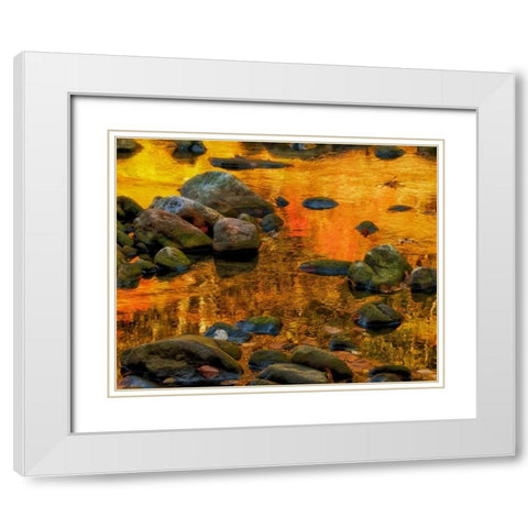 West Virginia, Davis Autumn reflections on pond White Modern Wood Framed Art Print with Double Matting by OBrien, Jay