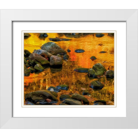 West Virginia, Davis Autumn reflections on pond White Modern Wood Framed Art Print with Double Matting by OBrien, Jay