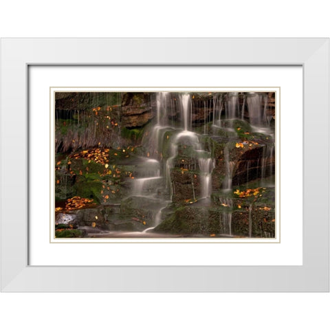 WV, Blackwater Falls Waterfall on rock face White Modern Wood Framed Art Print with Double Matting by OBrien, Jay