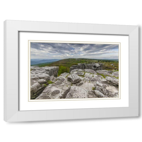 WV, Landscape in Dolly Sods Wilderness Area White Modern Wood Framed Art Print with Double Matting by OBrien, Jay