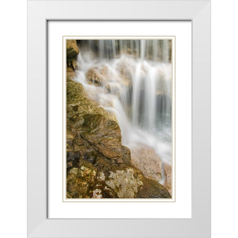 West Virginia, Thomas Close-up of Douglas Falls White Modern Wood Framed Art Print with Double Matting by OBrien, Jay