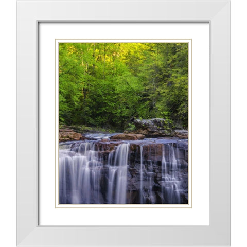 West Virginia, Davis, Blackwater Falls The falls White Modern Wood Framed Art Print with Double Matting by OBrien, Jay
