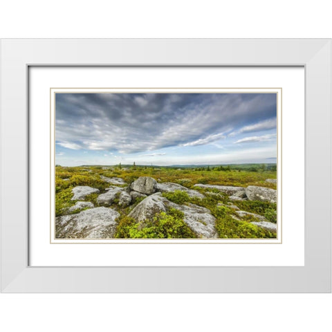 WV, Landscape in Dolly Sods Wilderness Area White Modern Wood Framed Art Print with Double Matting by OBrien, Jay