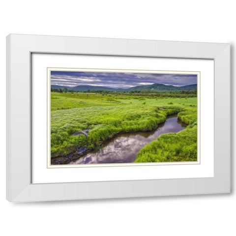 WV, Davis Landscape of the Canaan Valley White Modern Wood Framed Art Print with Double Matting by OBrien, Jay