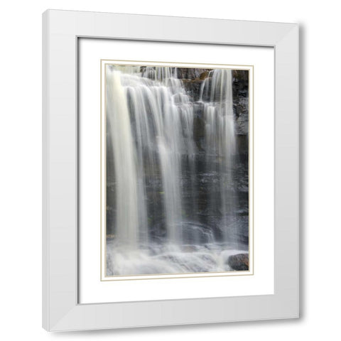 West Virginia, Davis, Blackwater Falls The falls White Modern Wood Framed Art Print with Double Matting by OBrien, Jay