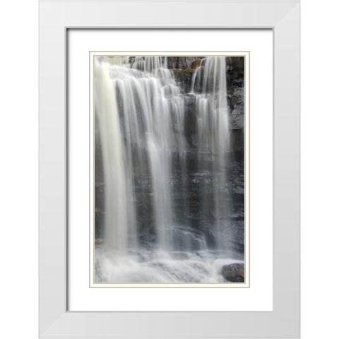 West Virginia, Davis, Blackwater Falls The falls White Modern Wood Framed Art Print with Double Matting by OBrien, Jay