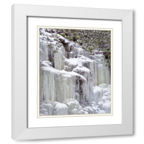 West Virginia, Blackwater Falls Frozen waterfall White Modern Wood Framed Art Print with Double Matting by OBrien, Jay