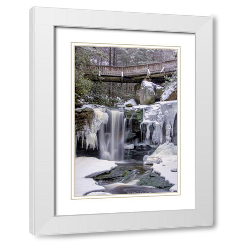 WV, Blackwater Falls SP Bridge and waterfall White Modern Wood Framed Art Print with Double Matting by OBrien, Jay