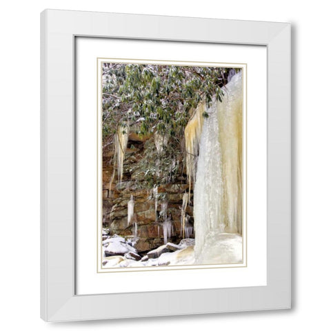West Virginia, Blackwater Falls Frozen waterfall White Modern Wood Framed Art Print with Double Matting by OBrien, Jay