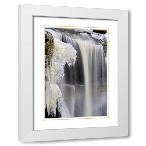 West Virginia, Blackwater Falls Frozen waterfall White Modern Wood Framed Art Print with Double Matting by OBrien, Jay