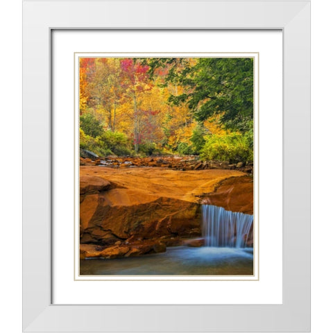 WV, Douglass Falls Waterfall over rock outcrop White Modern Wood Framed Art Print with Double Matting by OBrien, Jay