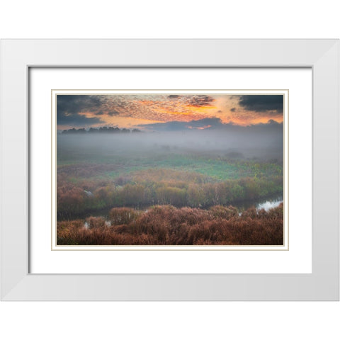 USA-West Virginia-Davis Fog over stream in valley at sunrise White Modern Wood Framed Art Print with Double Matting by Jaynes Gallery