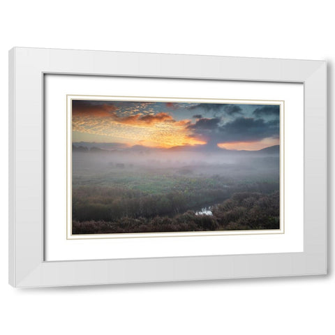 USA-West Virginia-Davis Fog over stream in valley at sunrise White Modern Wood Framed Art Print with Double Matting by Jaynes Gallery