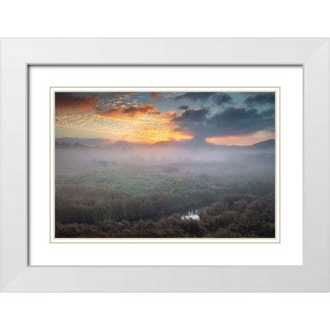USA-West Virginia-Davis Fog over stream in valley at sunrise White Modern Wood Framed Art Print with Double Matting by Jaynes Gallery