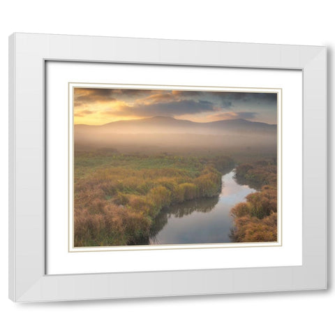 USA-West Virginia-Davis Fog over stream in valley at sunrise White Modern Wood Framed Art Print with Double Matting by Jaynes Gallery