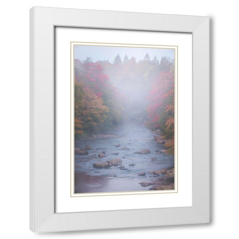 USA-West Virginia-Davis Foggy stream in Blackwater State Park White Modern Wood Framed Art Print with Double Matting by Jaynes Gallery