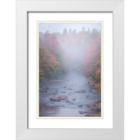 USA-West Virginia-Davis Foggy stream in Blackwater State Park White Modern Wood Framed Art Print with Double Matting by Jaynes Gallery