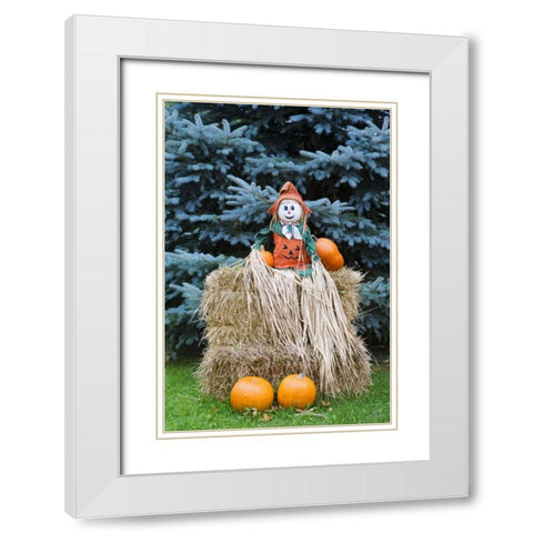 Wisconsin Autumn haystack and Halloween decor White Modern Wood Framed Art Print with Double Matting by Flaherty, Dennis