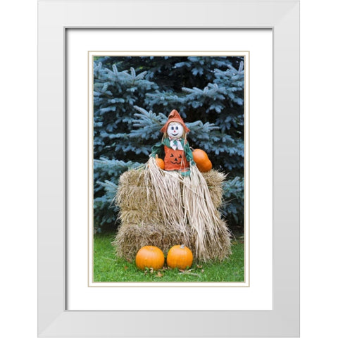 Wisconsin Autumn haystack and Halloween decor White Modern Wood Framed Art Print with Double Matting by Flaherty, Dennis