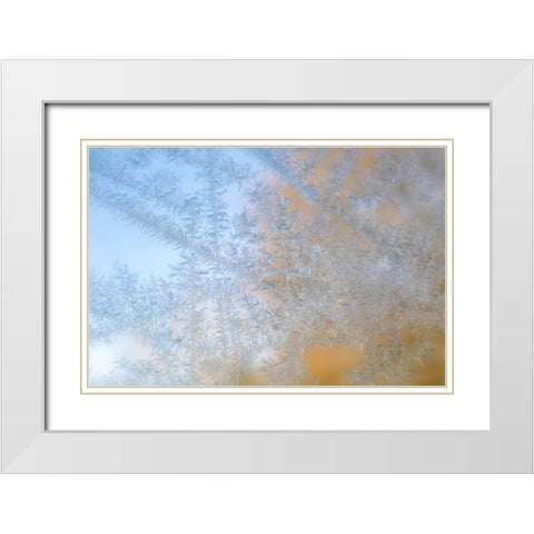 Wisconsin, Madison Frost patterns on glass White Modern Wood Framed Art Print with Double Matting by Grall, Don