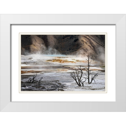 Black tree trunks and colorful hot spring terrace-Canary Spring-Mammoth Hot Springs White Modern Wood Framed Art Print with Double Matting by Jones, Adam