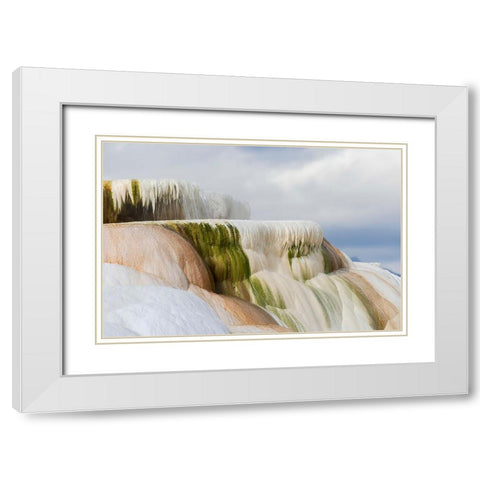 Colorful terrace-Canary Spring-Mammoth Hot Springs-Yellowstone National Park-Wyoming White Modern Wood Framed Art Print with Double Matting by Jones, Adam