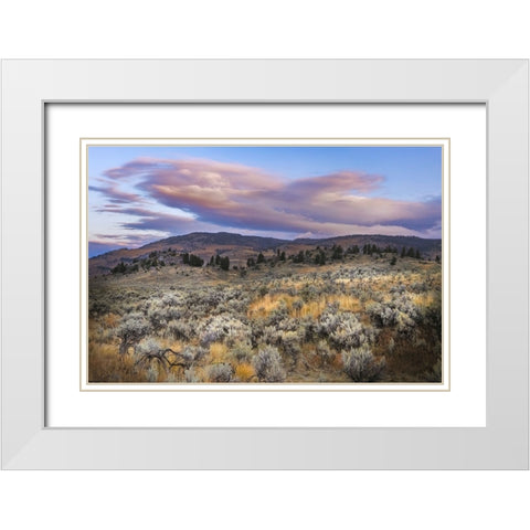 Mountain big sagebrush at sunrise-Lamar Valley-Yellowstone National Park-Wyoming White Modern Wood Framed Art Print with Double Matting by Jones, Adam