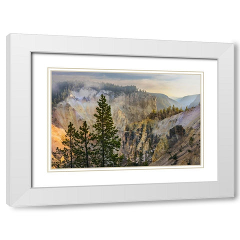 View from Artist Point at sunrise-Grand Canyon of Yellowstone-Yellowstone National Park-Wyoming White Modern Wood Framed Art Print with Double Matting by Jones, Adam