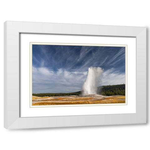 Old Faithful geyser erupting-a cone geyser in the Upper Geyser Basin White Modern Wood Framed Art Print with Double Matting by Jones, Adam