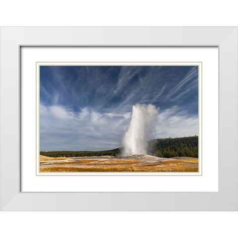 Old Faithful geyser erupting-a cone geyser in the Upper Geyser Basin White Modern Wood Framed Art Print with Double Matting by Jones, Adam