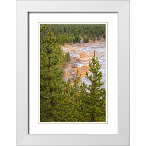 Elevated view of runoff water and bacterial mat-Grand Prismatic spring White Modern Wood Framed Art Print with Double Matting by Jones, Adam