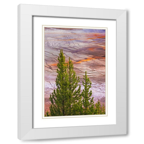 Elevated view of Grand Prismatic spring and colorful bacterial mat-Yellowstone National Park White Modern Wood Framed Art Print with Double Matting by Jones, Adam
