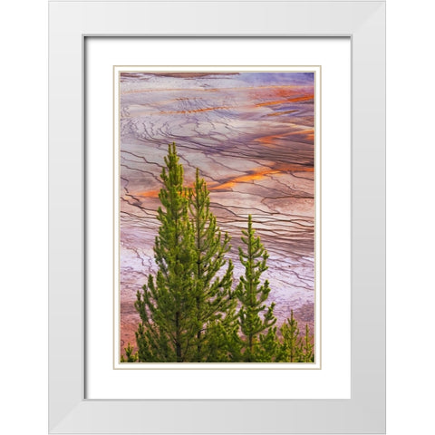 Elevated view of Grand Prismatic spring and colorful bacterial mat-Yellowstone National Park White Modern Wood Framed Art Print with Double Matting by Jones, Adam