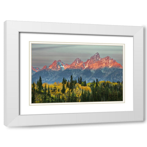 Autumn view of Teton Range at sunrise-Grand Teton National Park-Wyoming White Modern Wood Framed Art Print with Double Matting by Jones, Adam