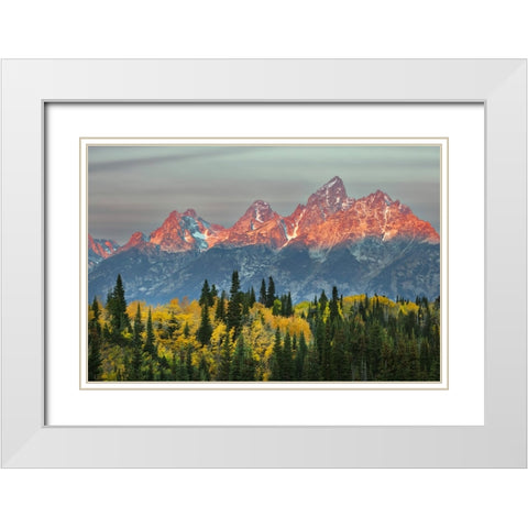 Autumn view of Teton Range at sunrise-Grand Teton National Park-Wyoming White Modern Wood Framed Art Print with Double Matting by Jones, Adam