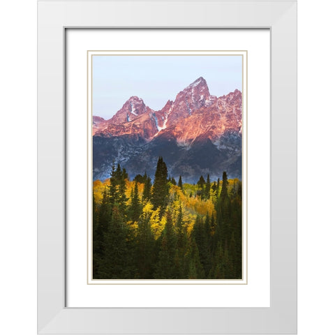 Autumn view of Teton Range at sunrise-Grand Teton National Park-Wyoming White Modern Wood Framed Art Print with Double Matting by Jones, Adam