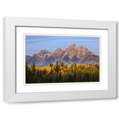 Autumn view of Teton Range at sunrise-Grand Teton National Park-Wyoming White Modern Wood Framed Art Print with Double Matting by Jones, Adam