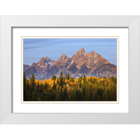 Autumn view of Teton Range at sunrise-Grand Teton National Park-Wyoming White Modern Wood Framed Art Print with Double Matting by Jones, Adam