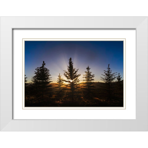 Pine trees silhouetted at sunset-Grand Teton National Park-Wyoming White Modern Wood Framed Art Print with Double Matting by Jones, Adam