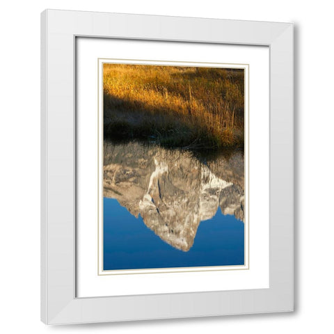 Teton Range reflected in Snake River from Schwabacher Landing-Grand Teton National Park-Wyoming White Modern Wood Framed Art Print with Double Matting by Jones, Adam