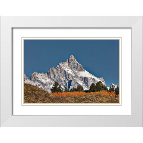 Aspen grove in front of Teton Range-Grand Teton National Park-Wyoming White Modern Wood Framed Art Print with Double Matting by Jones, Adam