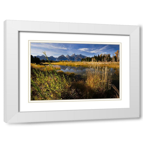 Teton Range from Schwabacher Landing-Grand Teton National Park-Wyoming White Modern Wood Framed Art Print with Double Matting by Jones, Adam