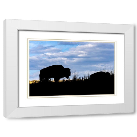 American Bison silhouette Yellowstone National Park-Wyoming White Modern Wood Framed Art Print with Double Matting by Jones, Adam