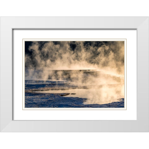 Canary Spring and steaming mist at sunrise-Mammoth Hot Springs-Yellowstone National Park-Wyoming White Modern Wood Framed Art Print with Double Matting by Jones, Adam