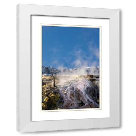 Colorful travertine slope with yellow and brown cyanobacteria-Mammoth Hot Springs White Modern Wood Framed Art Print with Double Matting by Jones, Adam