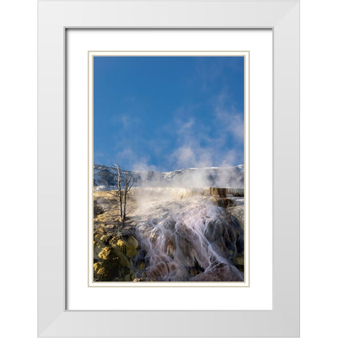Colorful travertine slope with yellow and brown cyanobacteria-Mammoth Hot Springs White Modern Wood Framed Art Print with Double Matting by Jones, Adam