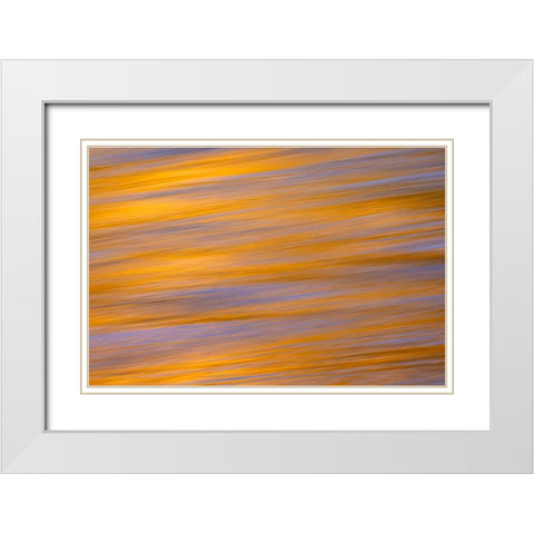 Sunset colors and trees reflecting on Snake River-Grand Teton National Park-Wyoming White Modern Wood Framed Art Print with Double Matting by Jones, Adam